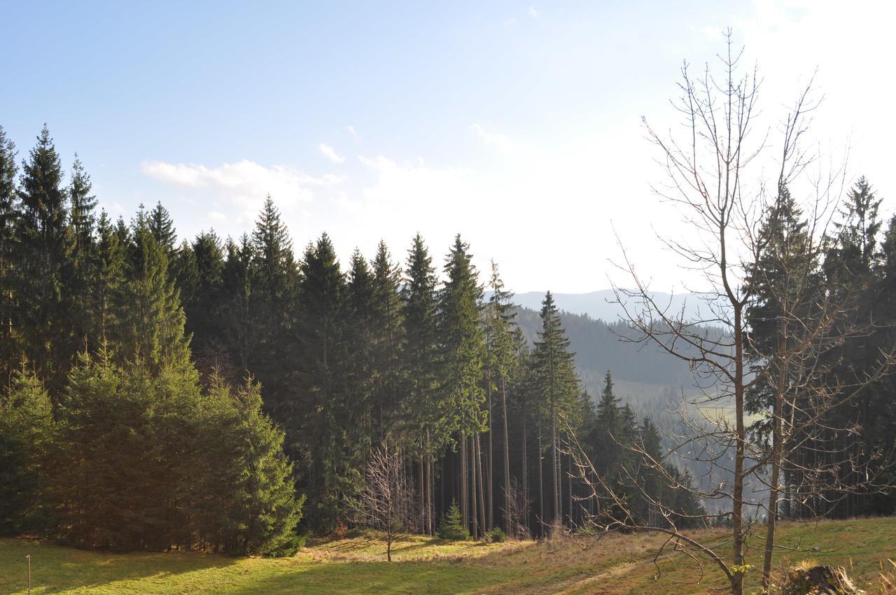 Horní Bečva Wellness Aparthotel Martinak מראה חיצוני תמונה